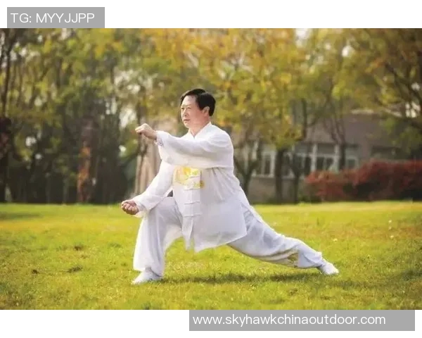 太极拳的历史渊源与发展演变探究之旅 太极拳的历史渊源与发展演变探究之旅