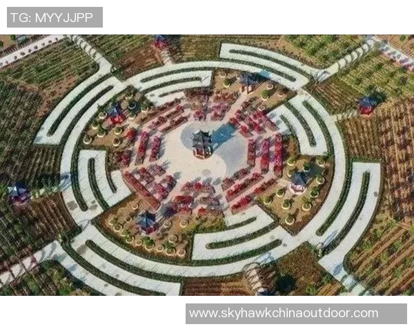 太极拳口诀表的精髓与实用技巧探讨与学习指南