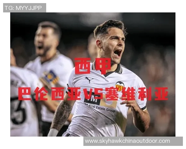 巴伦西亚引进新后卫提升后防稳定性助力争夺欧战资格